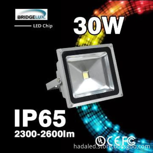 COB LED 30W Flood Light with 3 years warranty